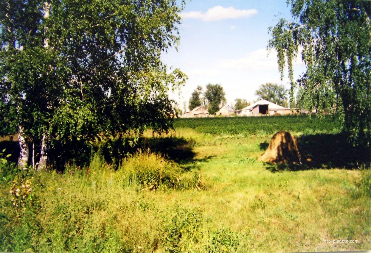 Погода село родино. Красный Алтай Родинского района Алтайского края. Озеро Полетаево Родинский район. Село Каяушка Алтайский край. С Родино Родинский район Алтайский край.