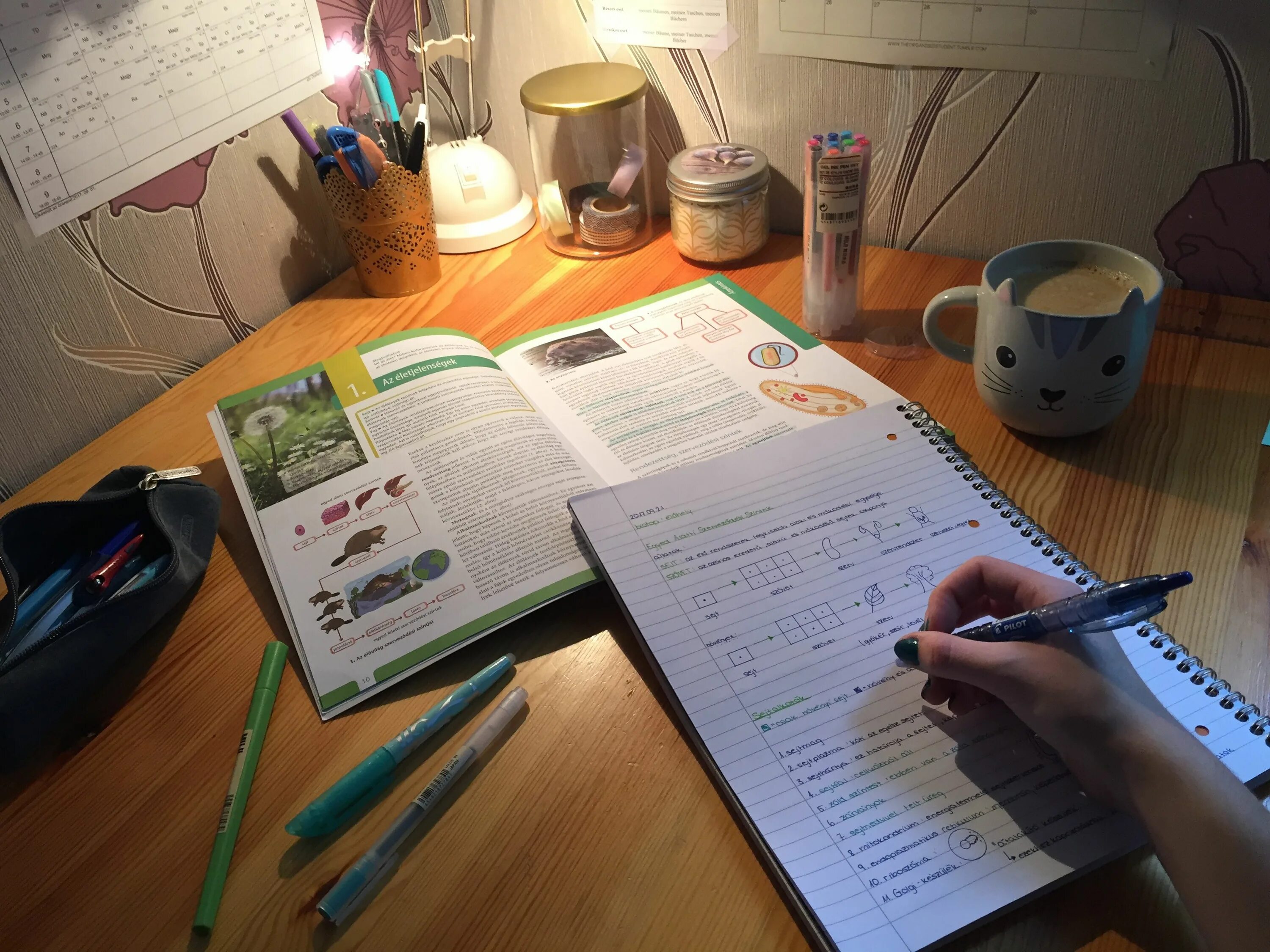 Again to study. Study Biology. Study Biology Aesthetics. Study with me картинки. Aesthetic Notes Bio.