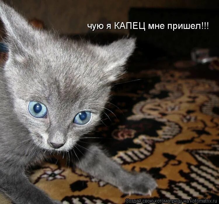 Ну сейчас очень
