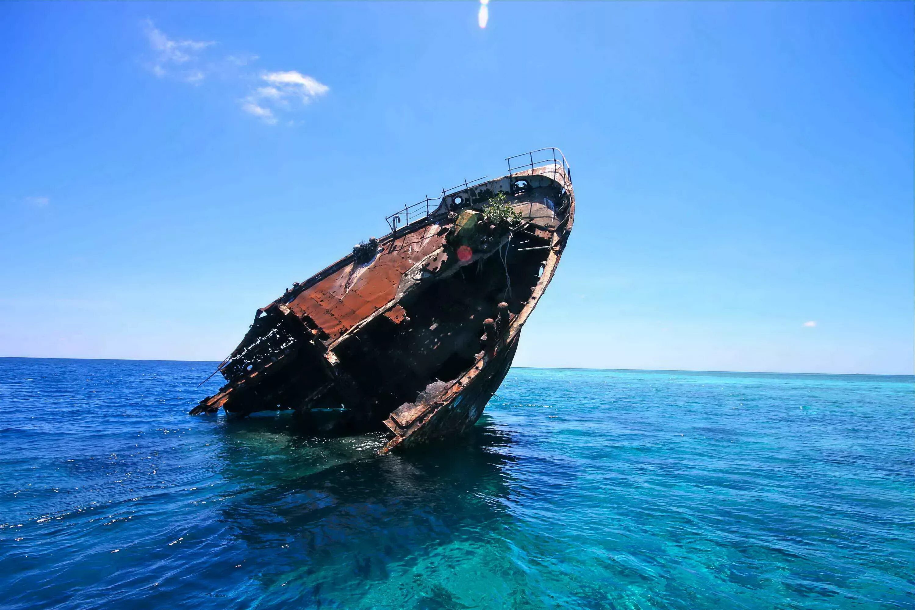 Оленевка затонувший корабль. Кораблекрушения. Морские катастрофы.