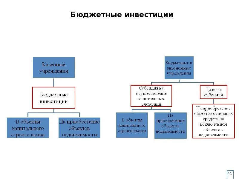 Субсидии на капитальные вложения бюджетным учреждениям. Бюджетные инвестиции. Виды бюджетных инвестиций. Бюджетные бюджетные инвестиции. Виды бюджетного инвестирования.