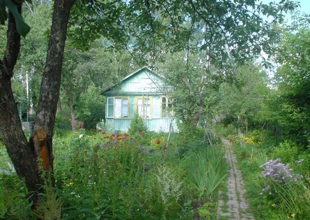 СНТ Купавна , озеро Бисерово. СНТ биолог Купавна. Дача в старой Купавне. Купавна дачи.