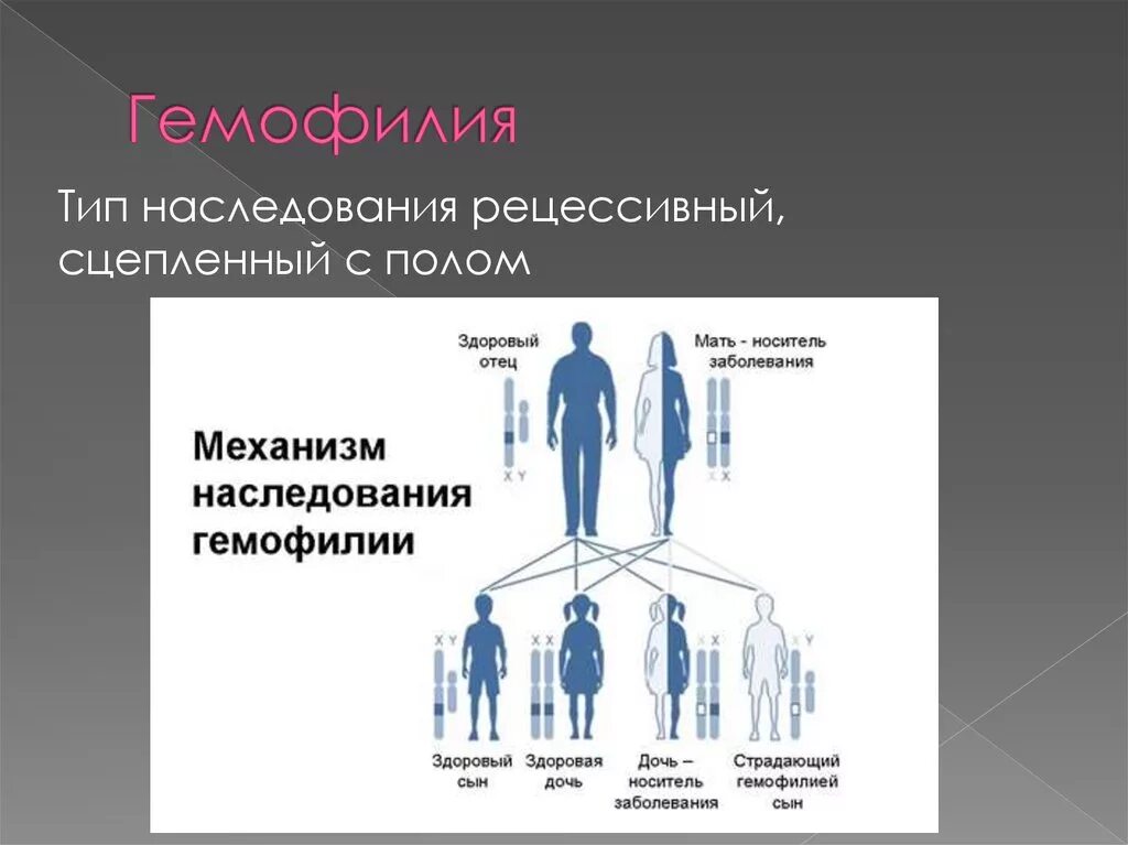 Классическая гемофилия передается как рецессивный. Гемофилия Тип наследования. Схема передачи гемофилии. Укажите Тип наследования гемофилии а:. Гемофилия генетика Тип наследования.