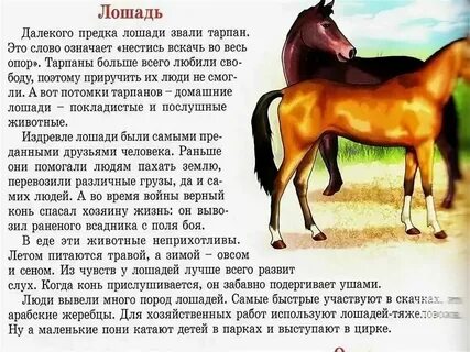 Кто написал про коня