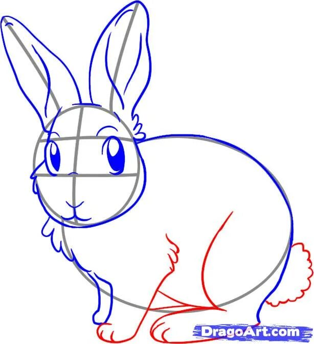 Нарисовать кролика карандашом. Пошаговое рисование кролика. Заяц рисунок. Поэтапное рисование кролика карандашом. Кролик рисунок.