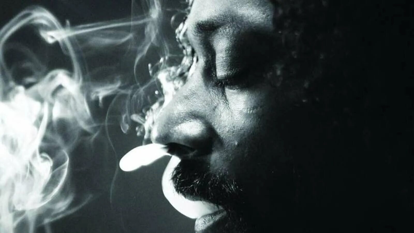 Smoke blunt