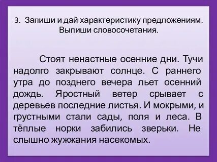 Теплый дождь предложение
