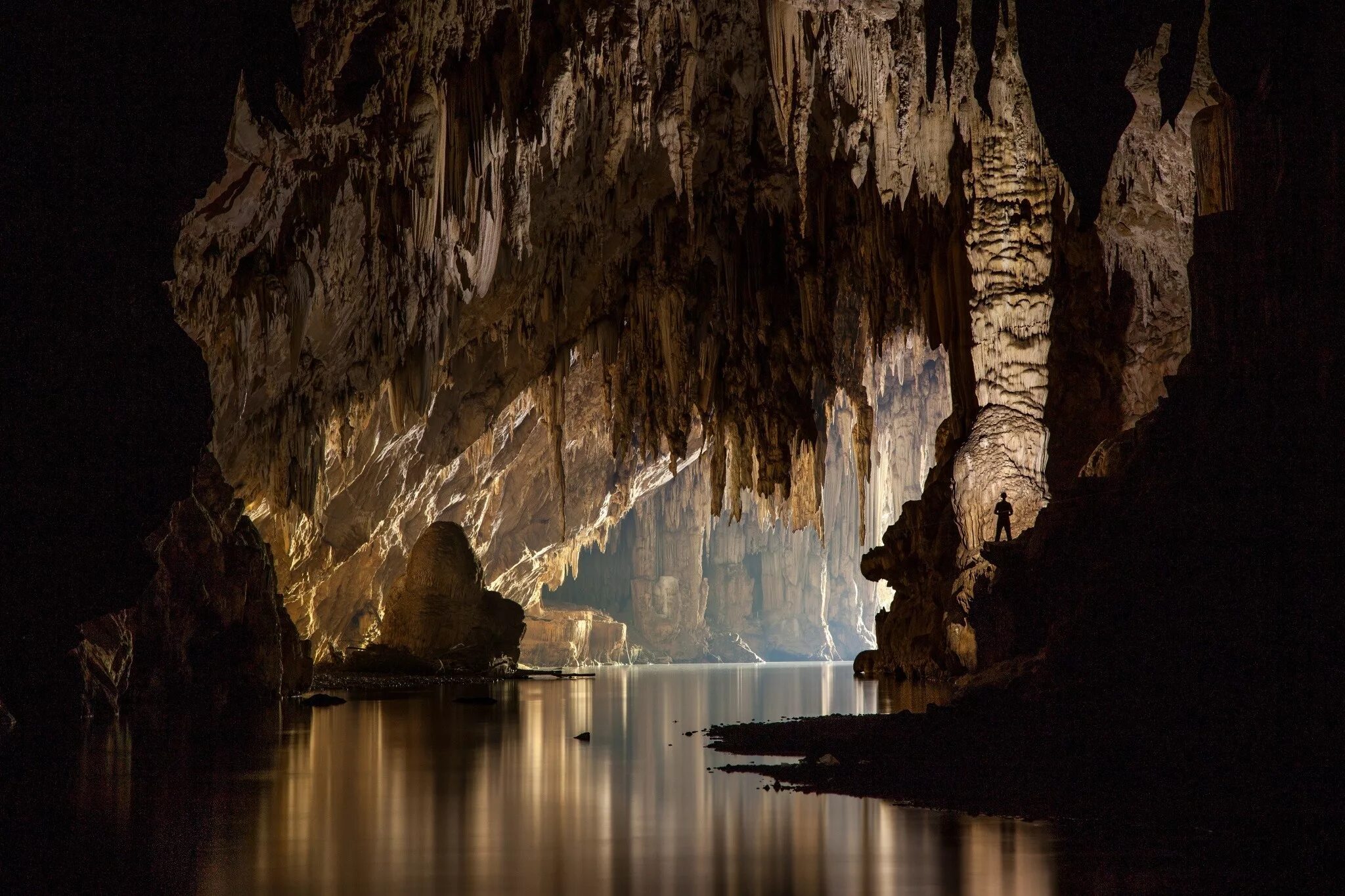 Ancient cave. Пещера Шондонг. Пещера Тхам лод. Пещера Шондонг Вьетнам. Лес пещеры Шондонг, Вьетнам.