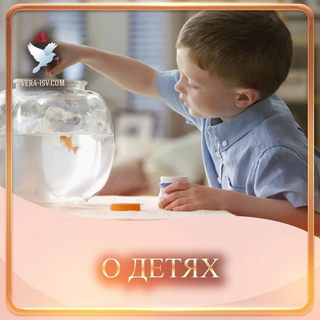Feeding a fish. Feeding a fish. Feeding a fish. Feeding a fish. Мальчик кормит рыбок.