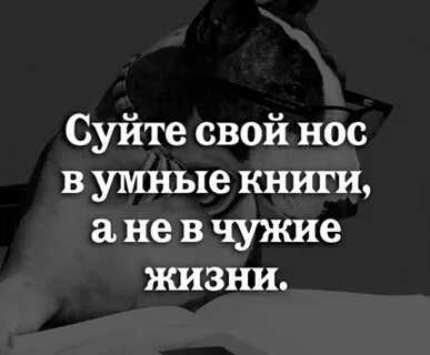 Чужие носы в чужой жизни