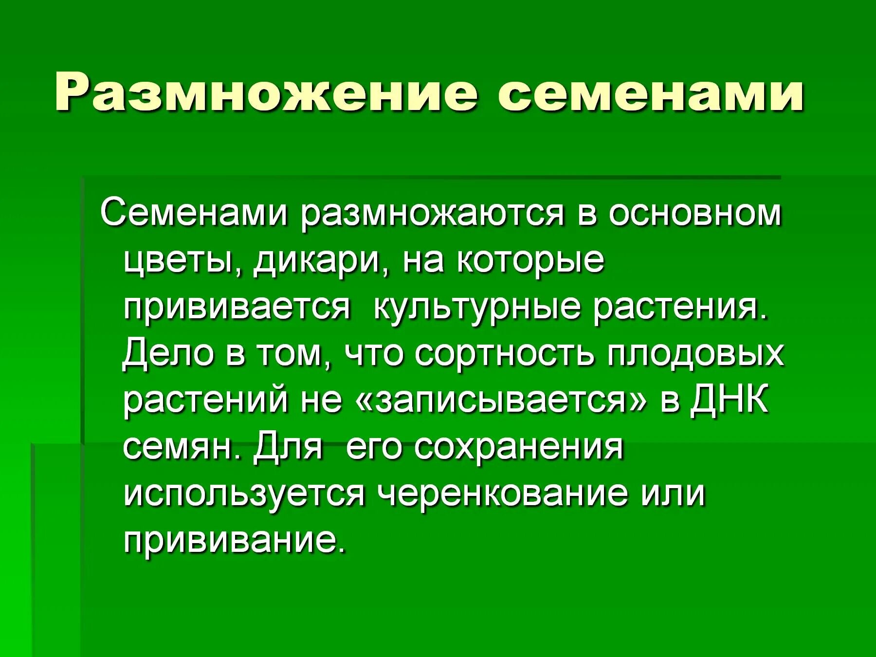 Семенами размножаются ответ. Размножение растений семенами. Семенное размножение. Растения размножающиеся семенами. Семенное размножение растений.