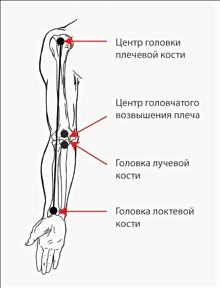 Ось рука