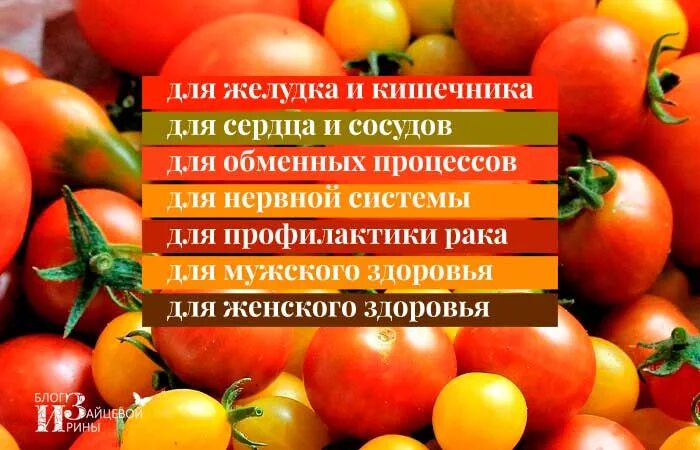 Чем полезны помидоры для организма. Польза помидоров. Чем полезны помидоры. Полезные качества помидора. Что полезного в помидорах