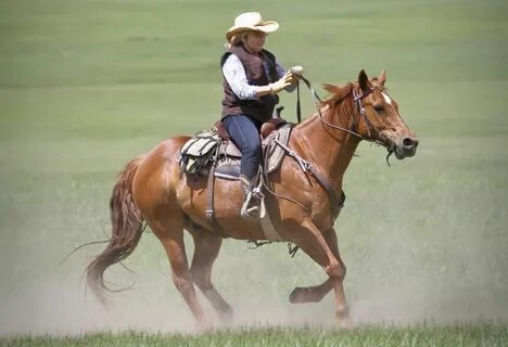18 hors