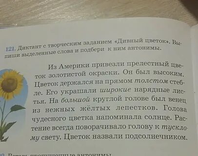 Диктант чудесный день