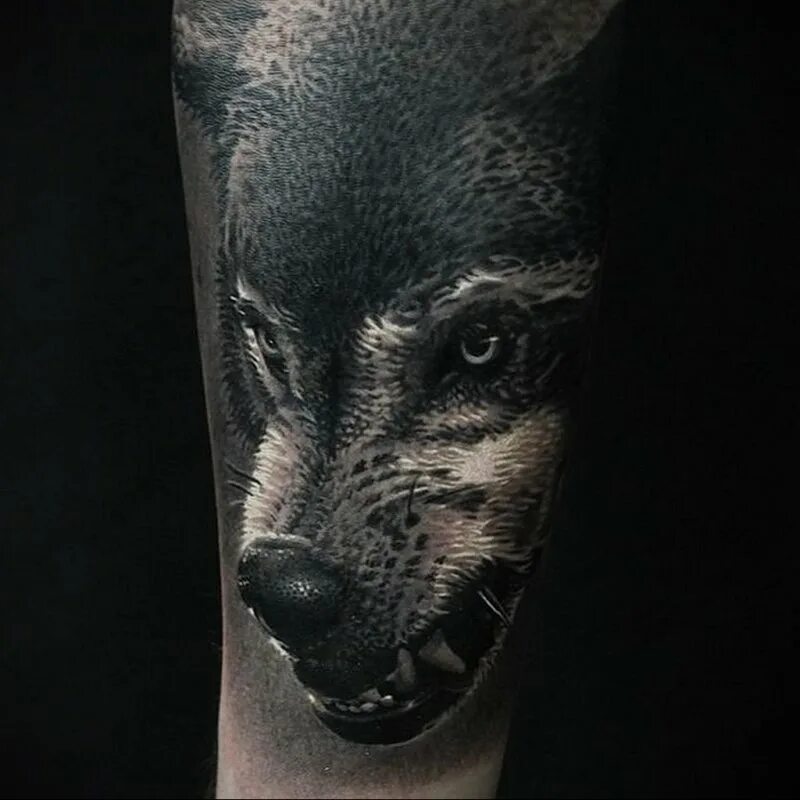Фенрир блэкворк. Черный черный волк тату. Волк лес реализм. Переводилки тату волк. Тату черный волк.