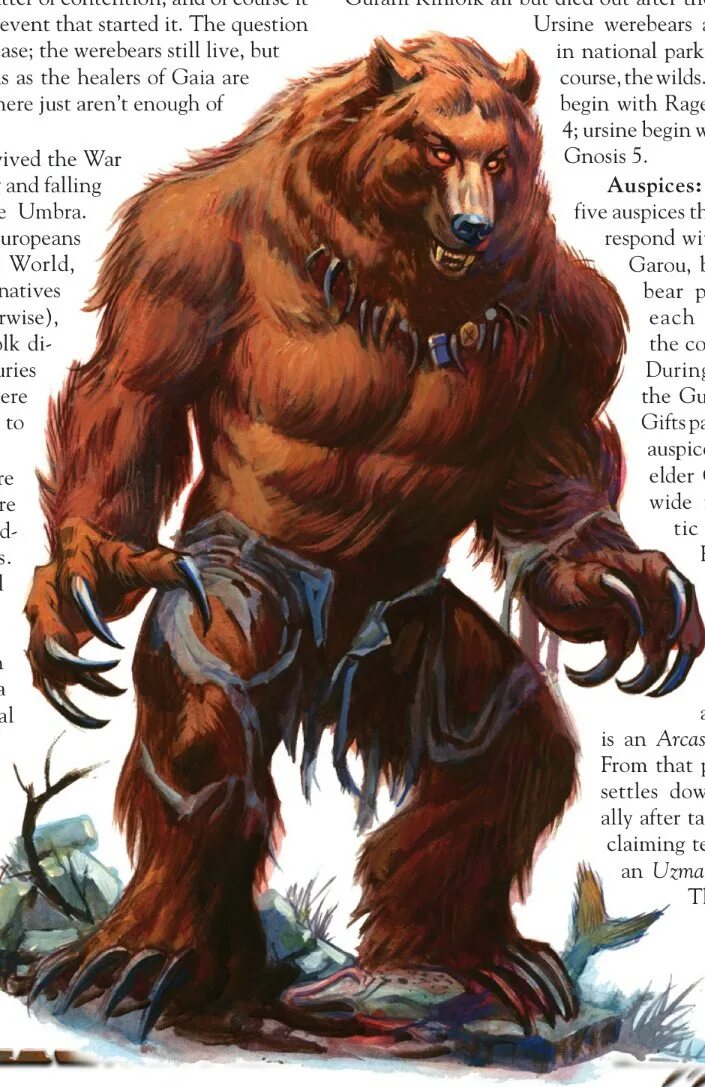 Медведь и человек. Морозко человек медведь. Берендеи оборотни славянская мифология. Как человеку превратиться в медведя. Enderal оборотень.