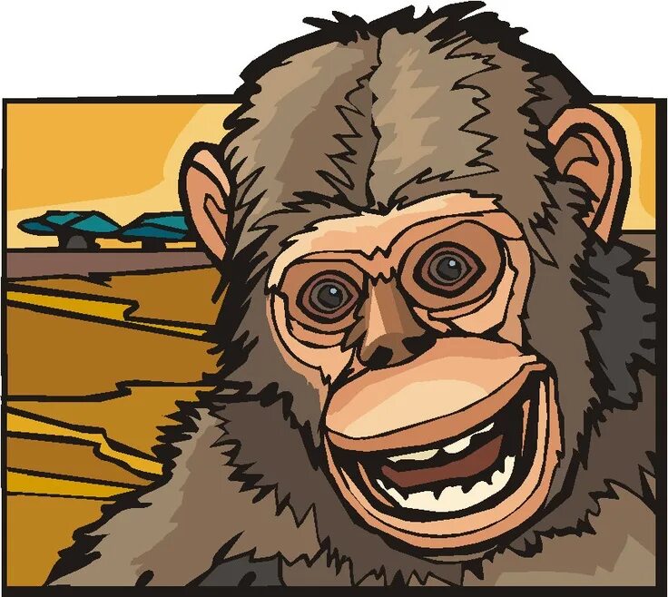Chimp crazy