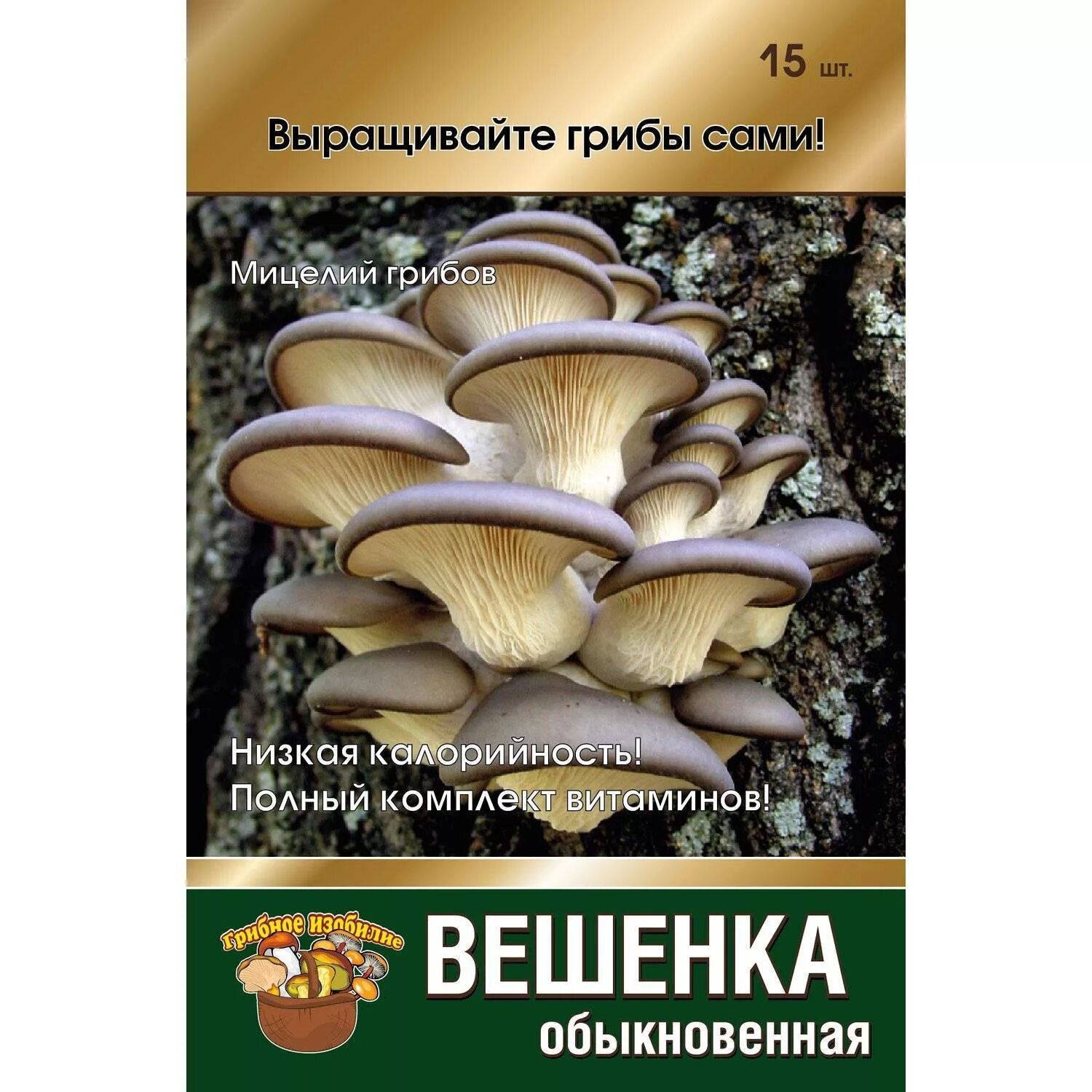 Семена мицелия вешенки. Мицелий грибов вешенка. Мицелий вешенки. Мицелий вешенка обыкновенная. Сколько стоят вешенки