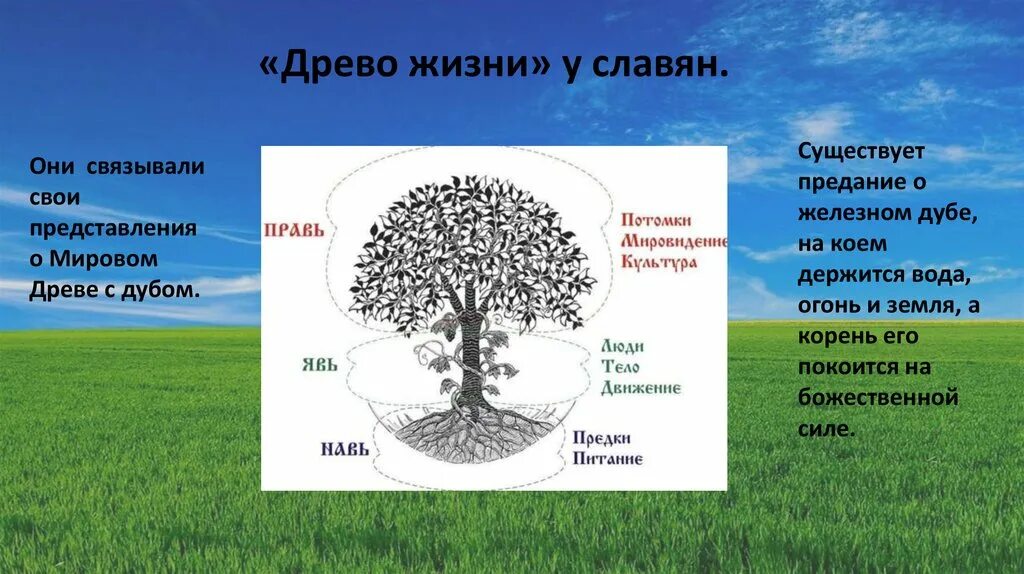 Древо жизни. Мировое Древо. Мировое Древо жизни. Мировое Древо славян. Древо культуры