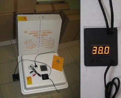 Автоматический терморегулятор несушки