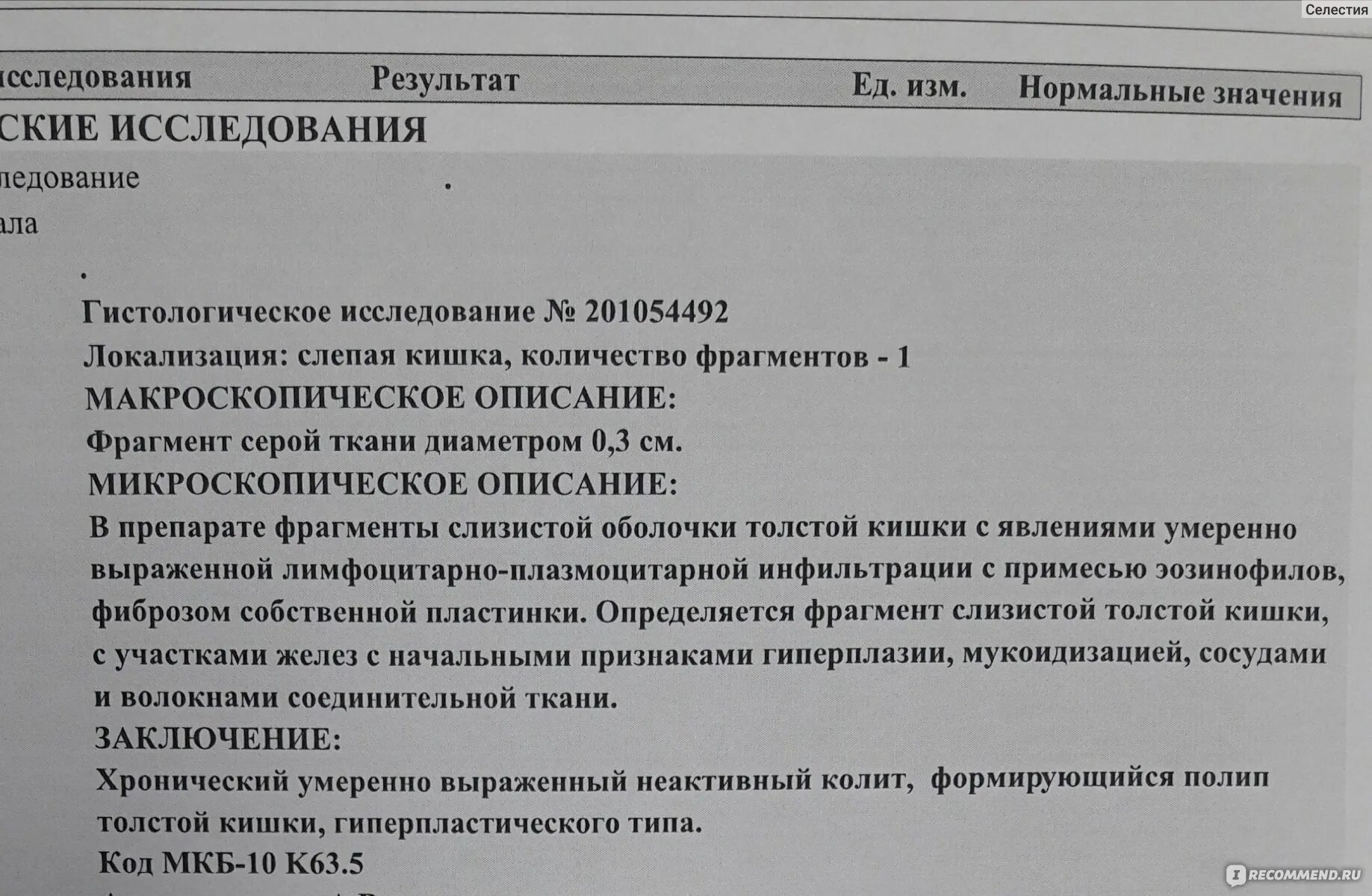 Что кушать после удаления полипа в кишечнике. Заключения после колоноскопии. Колоноскопия заключение. Полип колоноскопия с биопсией толстой кишки заключение. Результат гистологии полипа.