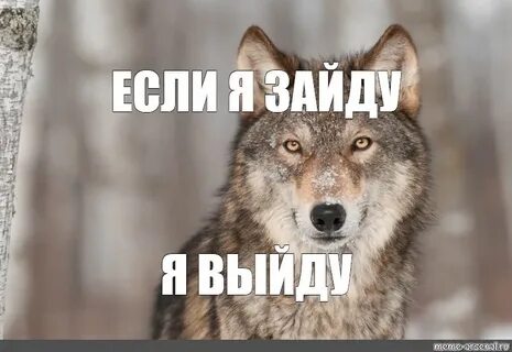 Жизнь мемов
