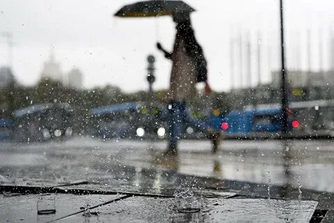 Новости на дожде 2024