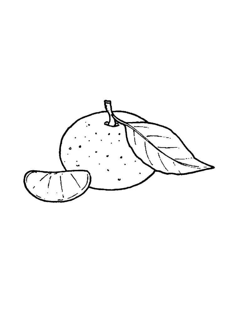 Мандарин раскраска для детей распечатать Pretty Photo of Orange Coloring Page  Coloring pages, Apple