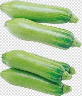 Squash vegetable