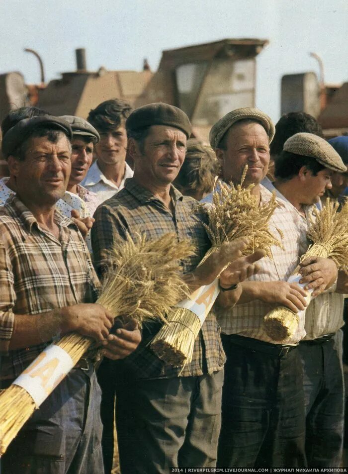 Е колхоз. Ссср 70-е колхоз. сельское хозяйство в ссср в 70-80. 1970е ссср сельское хозяйство. сельское хозяйство в 70е годы в ссср.