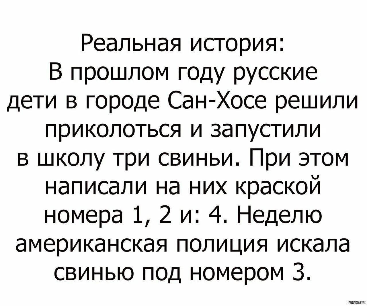 Русские дети в городе Сан-Хосе решили приколоться и запустили. Короткие истории 18. Истории 18 с подробным описанием короткие. Смешные истории для подростков короткие.