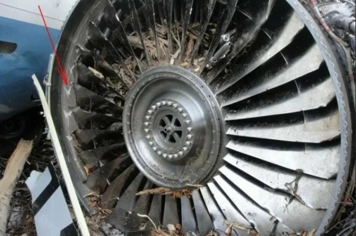 Двигатель самолета птица. Помпаж двигателя самолета. су-57 помпаж. турбина самолета миг 23. птица в двигателе самолета.
