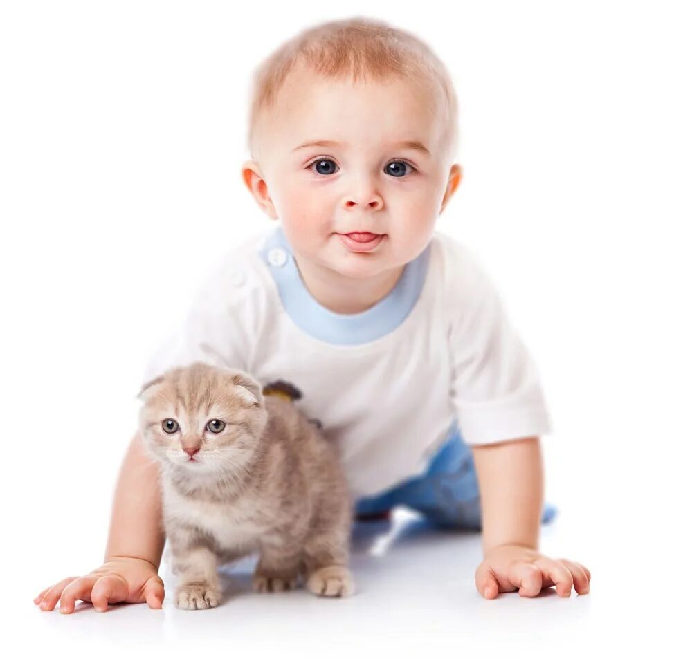 Котенок и ребенок 3 года. Для детей. животные. котёнок-ребёнок. для малышей (котенок). ребенок.