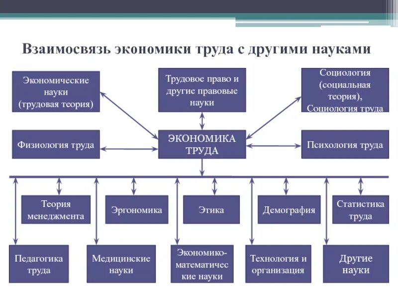 Труд это экономическая деятельность. Взаимосвязь социологии труда с другими науками. Взаимосвязь экономики труда с другими науками. Предмет дисциплины экономика труда. Тр в экономике это.