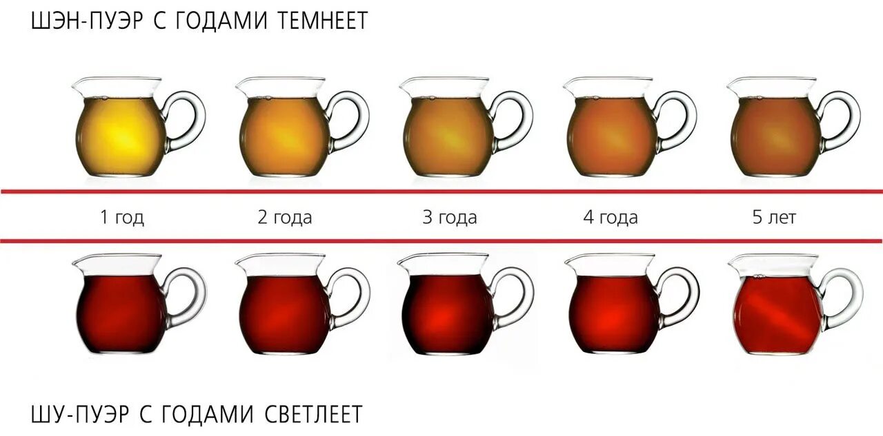 Чем отличается пуэр. Шу пуэр и Шен пуэр. Шу и Шен пуэр различия. Шэн пуэр и Шу отличия. Шу пуэр и Шен пуэр отличия.