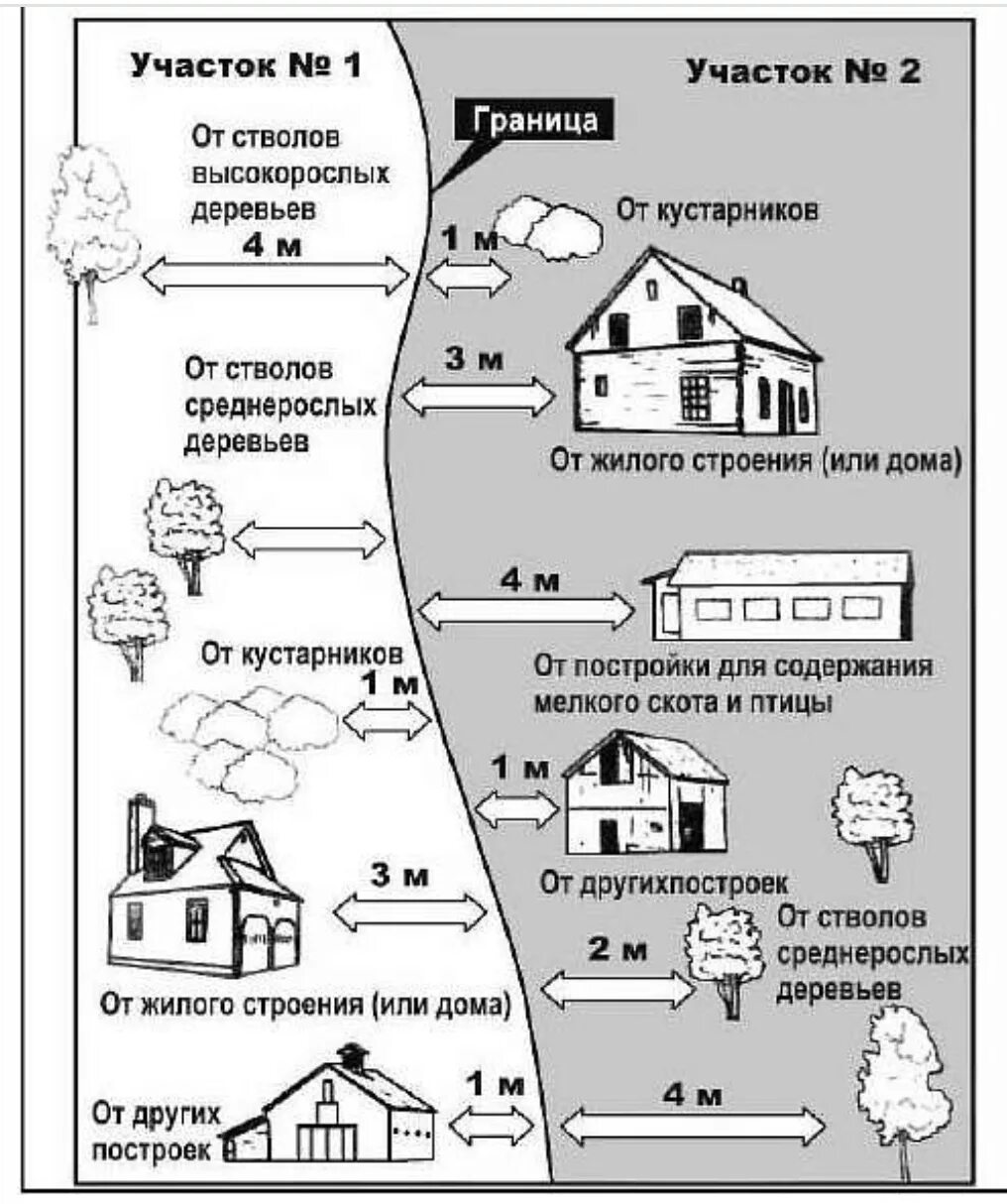 Расстояние деревьев от забора