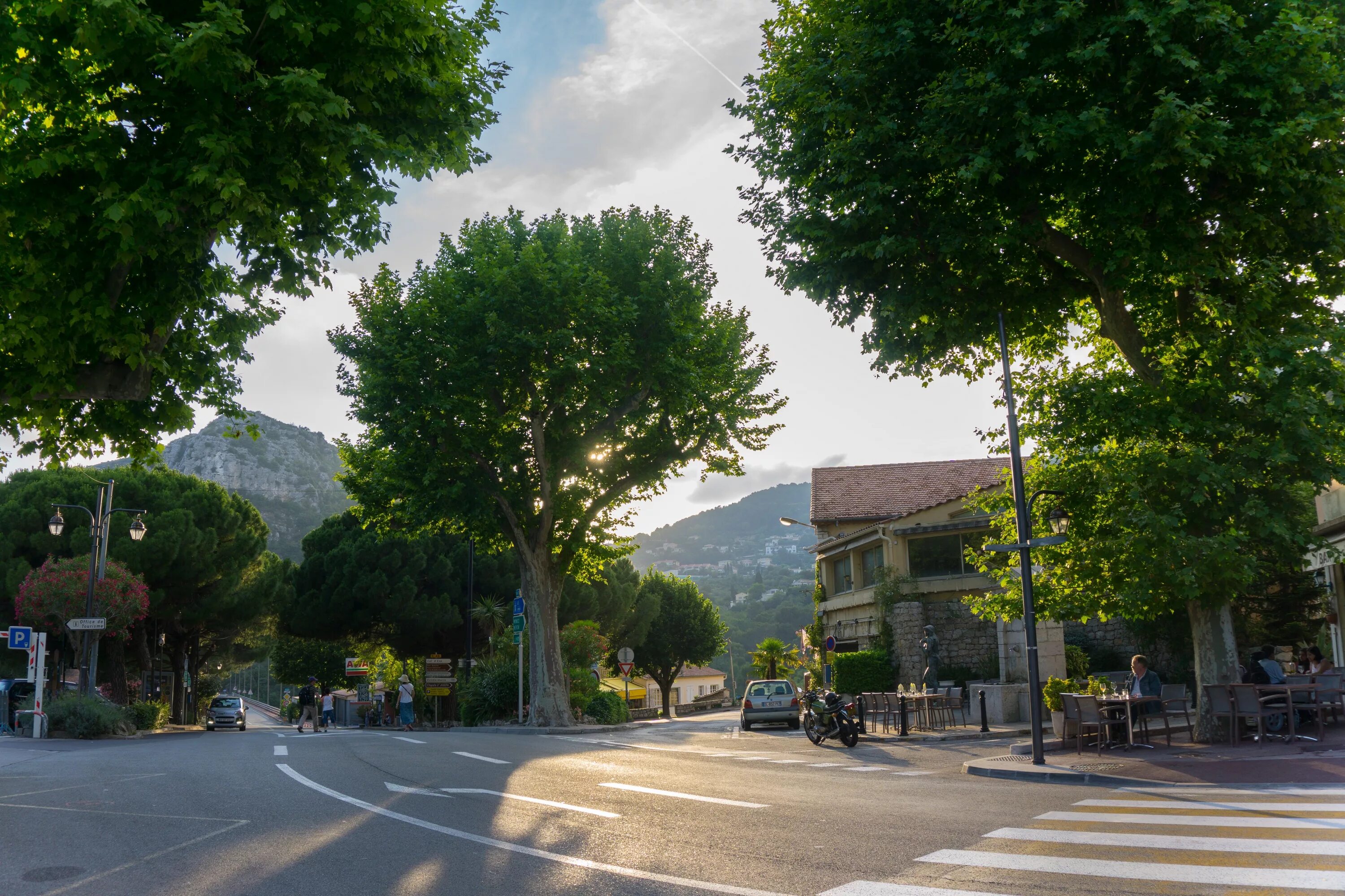 Street trees. Руа-Гонсалу-де-Карвальо. Самая красивая улица в мире. Улица с деревьями. Деревья в городе. Улица зеленая.