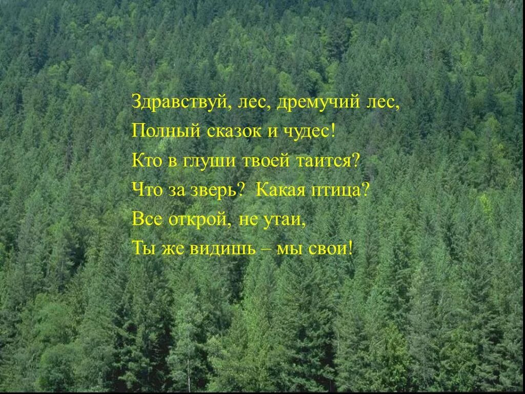 Стихотворение про лес. Стихи про леса. Стихотворение на тему лес. Стих про лес короткие. Поэзия о лесе