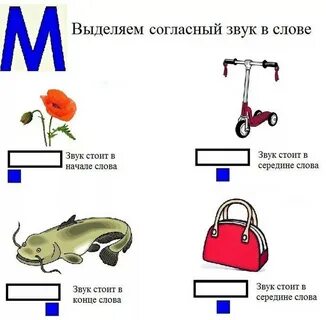 Слова на букву м название