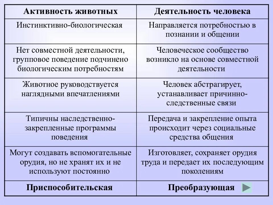 Чем отличается деятельности человека. Деятельность человека и активность животного таблица. Сравнительная таблица деятельности животных и человека. Сравнение деятельности человека и животного. Таблица деятельность человека и деятельность животного.