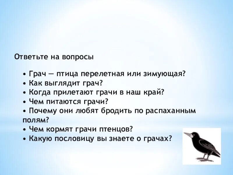 Грач зимующая птица или Перелетная. Когда прилетают Грачи. Чем питается Грач. Грач это Перелетная птица или зимующая птица. 2 предложения о грачах