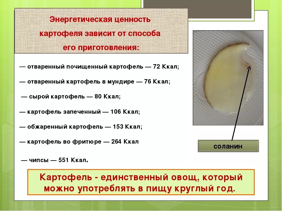 Сколько воды в вареной картошке. Пищевая ценность вареного картофеля. Калорий в отварной картошке. Калорийность вареной картошки в мундире. Энергетическая ценность вареного картофеля.