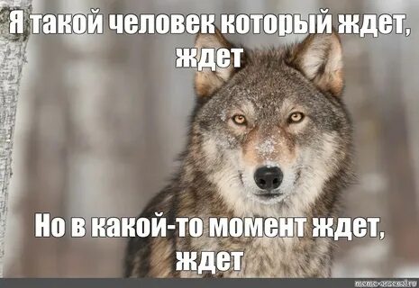 Работа не волк работа work