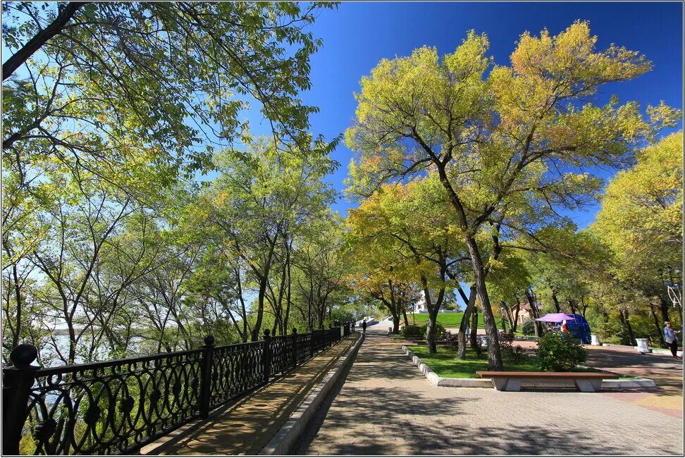 Парк гагарина г хабаровск. Парк динамо хабаровск. Н. Краевой парк имени н. Хабаровский парк динамо.