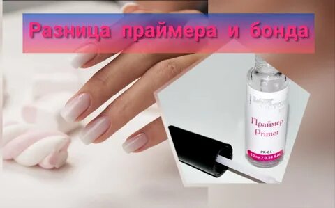 Зачем праймер