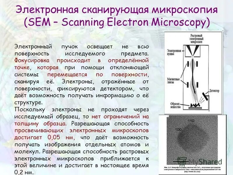 Выберите изображения полученные методом сканирующей электронной микроскопии