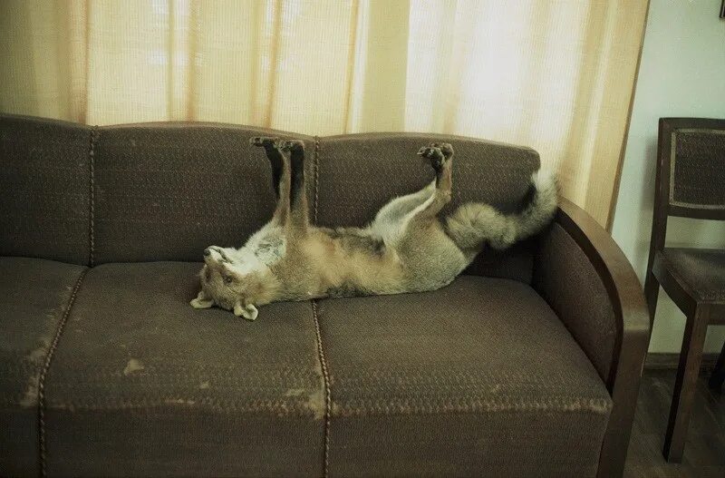 Что нибудь посерьезнее