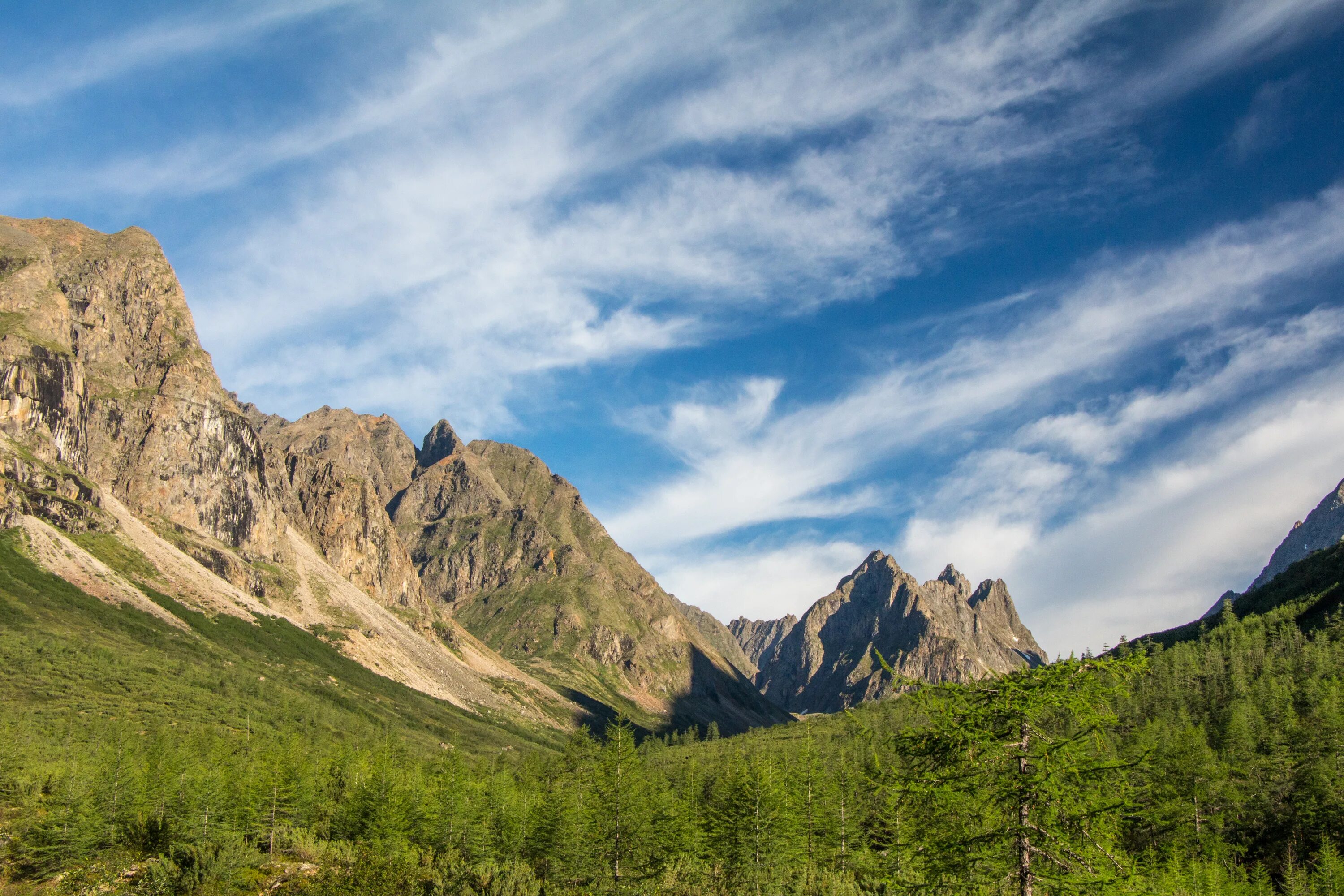 Парк кодар забайкальский край. Горы дуссе-алинь хабаровского края. Кодар хребет забайкалье. Перевал ледниковый, кодар. Национальный парк алханай забайкальский край.