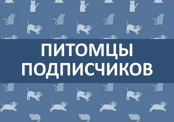 В императорском саду живет собака вк. Питомцы подписчиков. Собака ВКОНТАКТЕ. Мертвая собака ВК. Личные страницы животных ВКОНТАКТЕ.